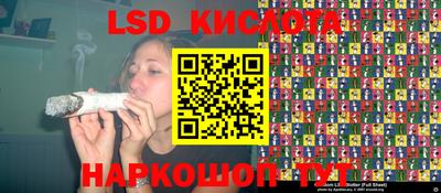 ГАЛЛЮЦИНОГЕННЫЕ ГРИБЫ Будённовск