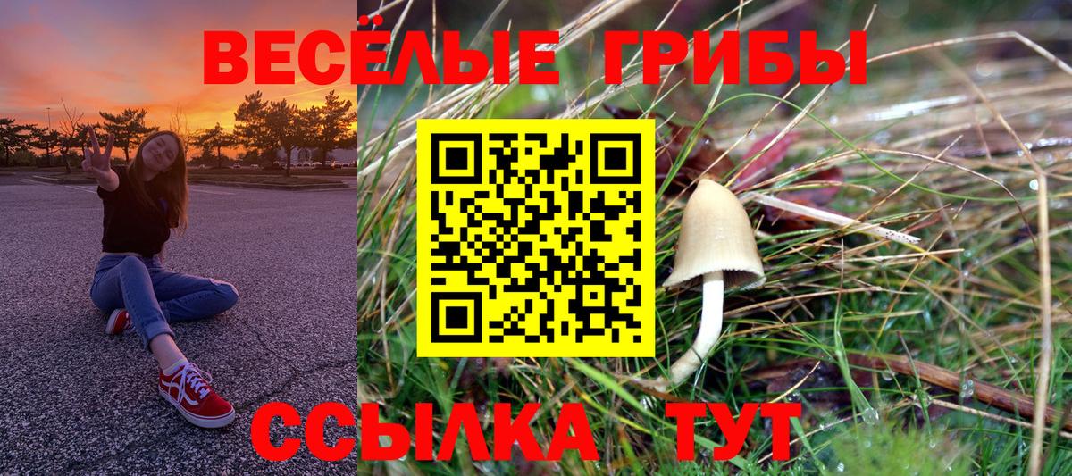 Галлюциногенные грибы ЛСД Красноуфимск